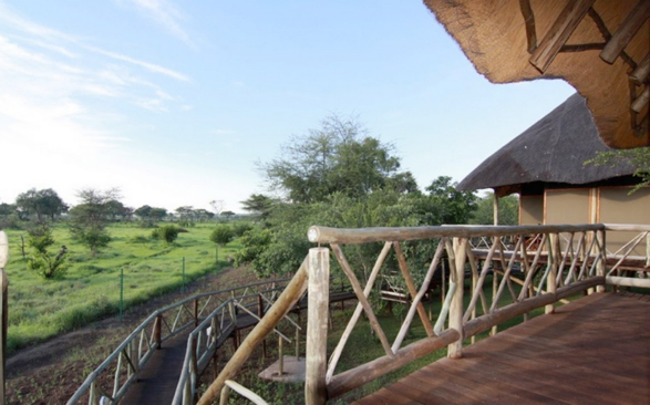 Jour 6 — Safari Botswana & Zambie — camping confort