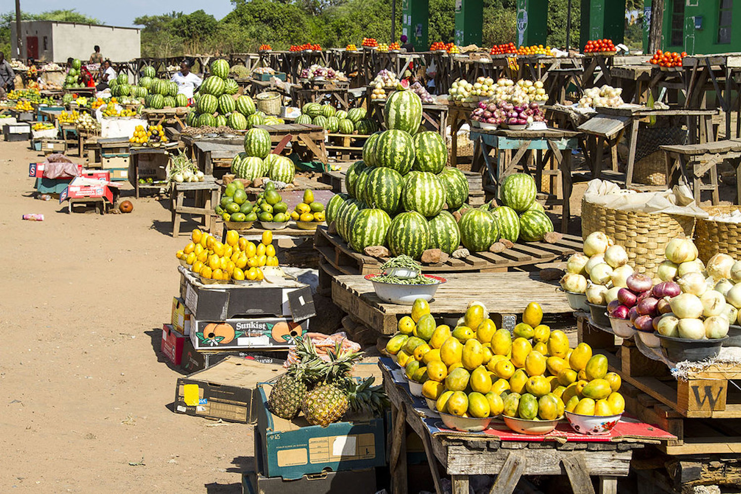 Jour 9 — Safari Botswana & Zambie — camping confort