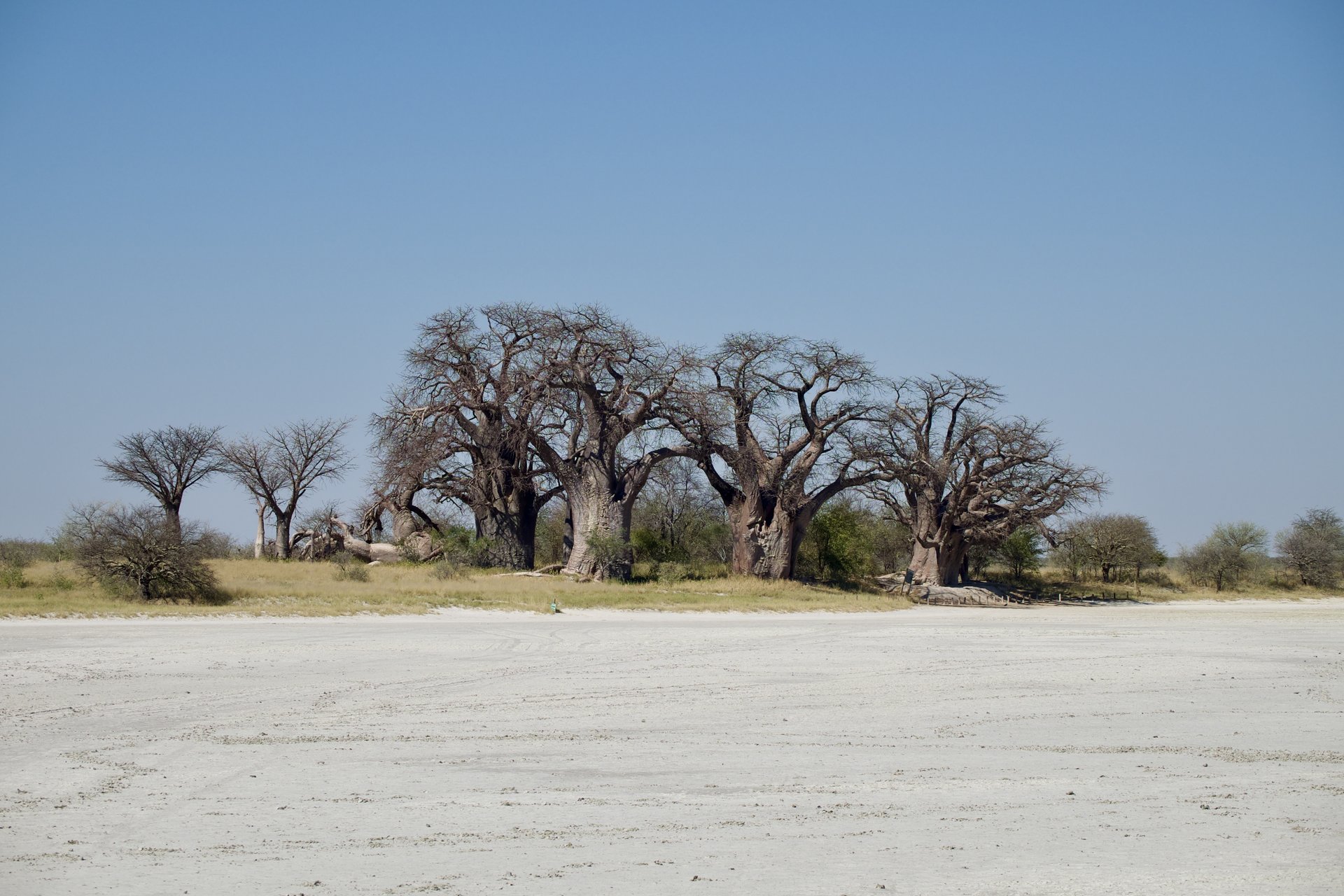 Safari camping confort — photo terrain (DSCF5228)