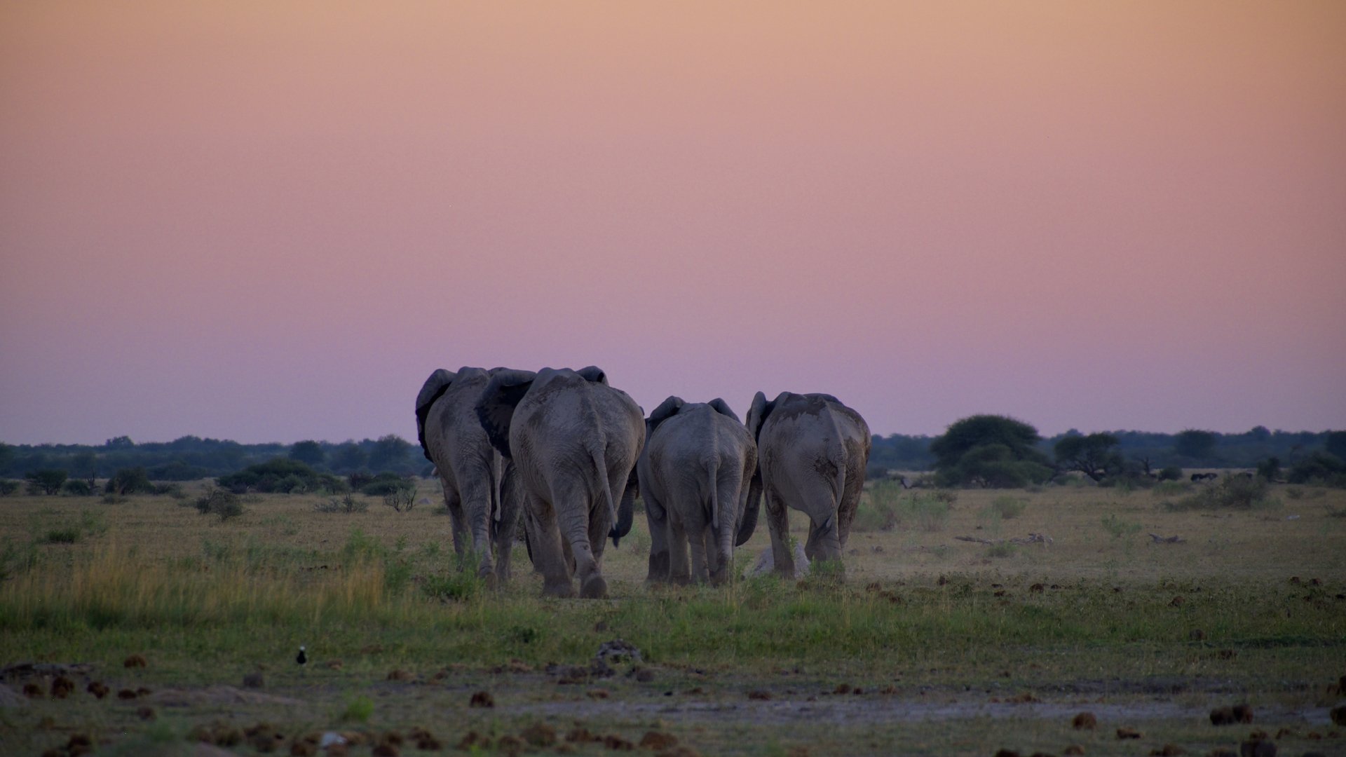 Safari camping confort — photo terrain (DSCF5397)