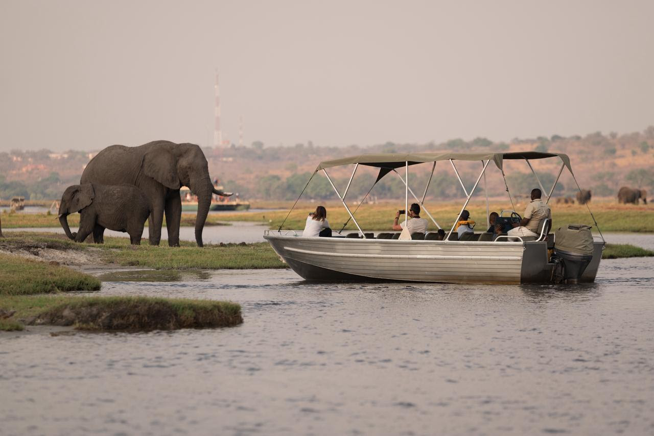 Chobe — safari sur mesure