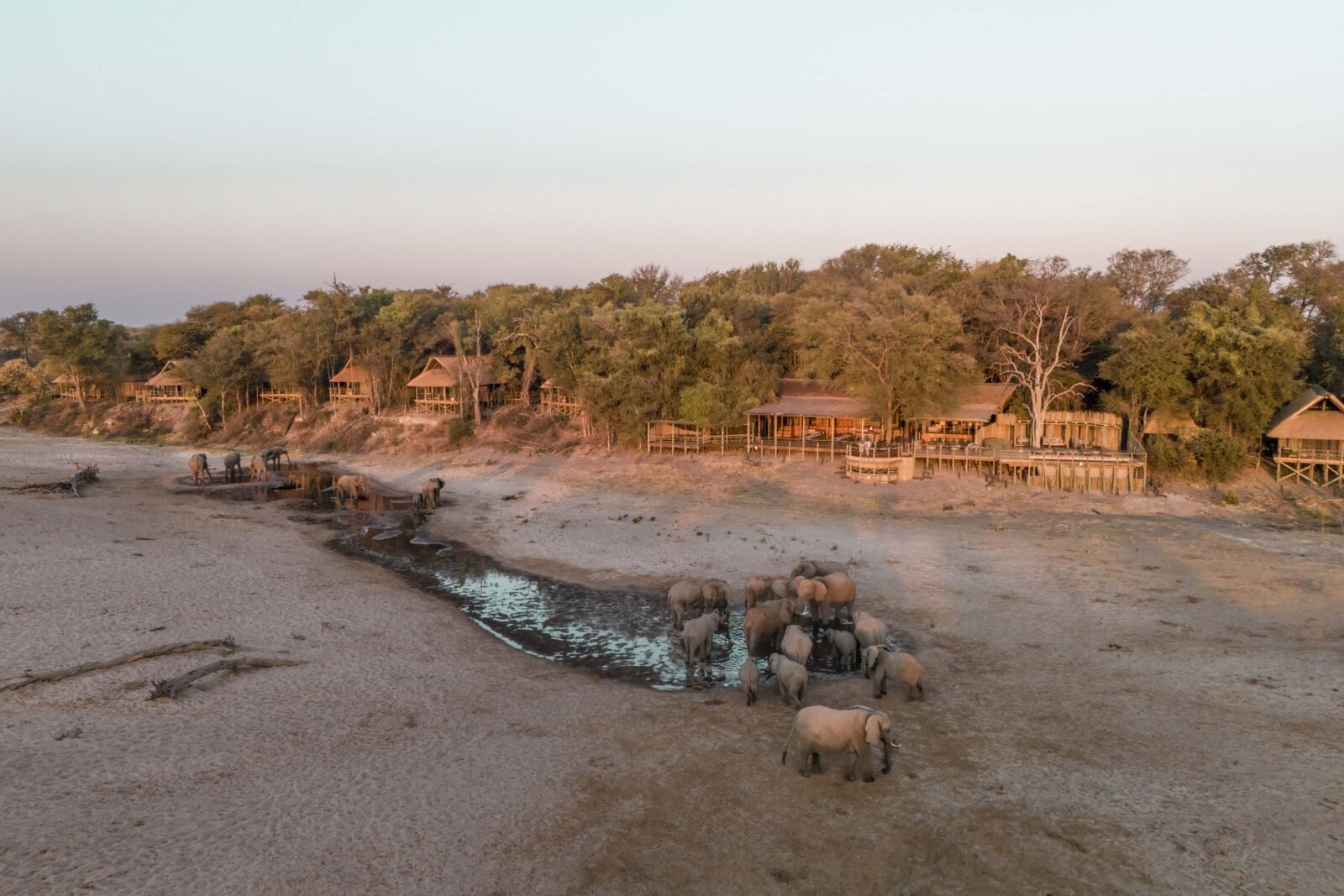 Savute Safari Lodge — lodge ou camp au Botswana