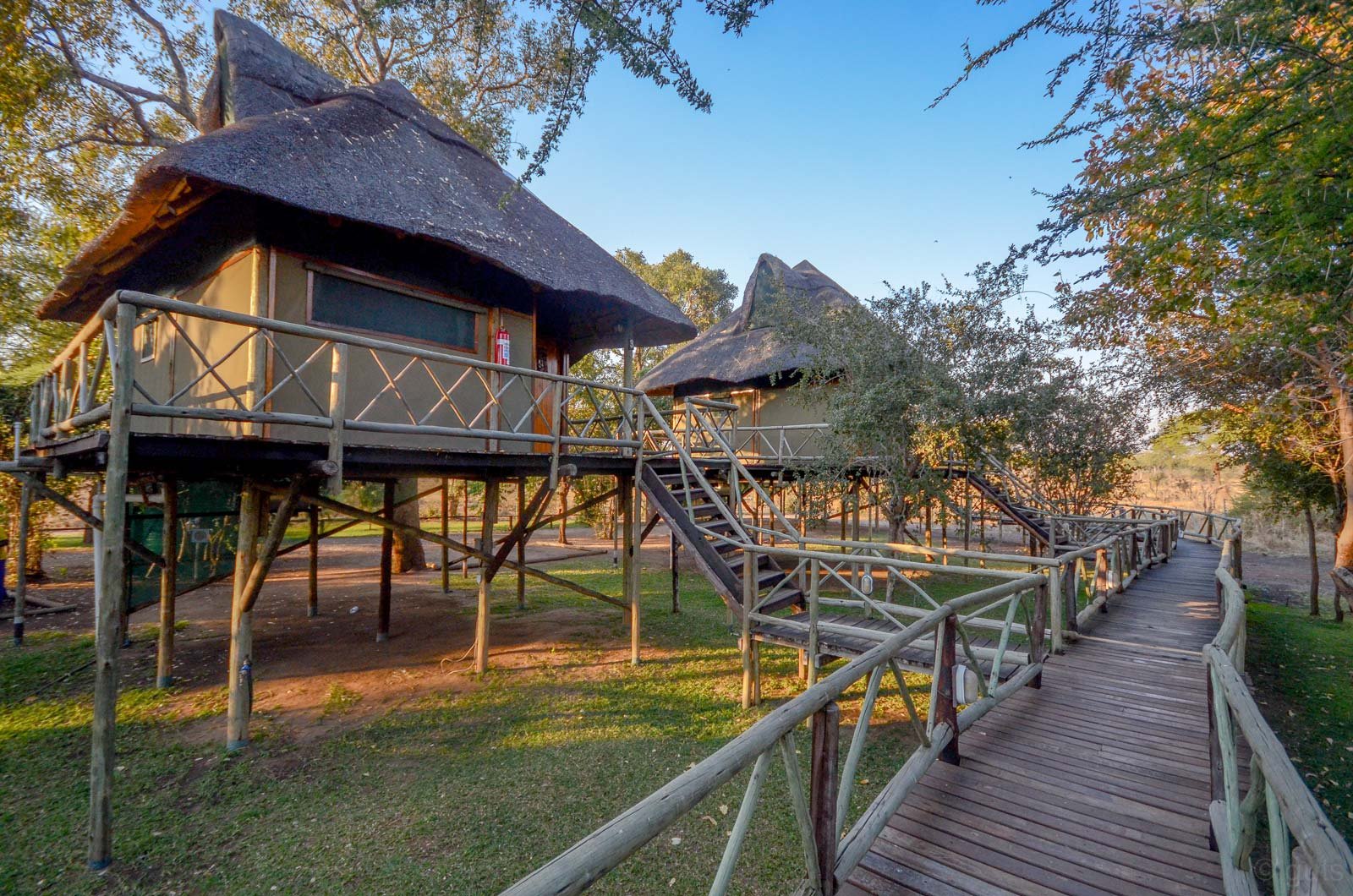 Chobe Bush Camp — lodge ou camp au Botswana