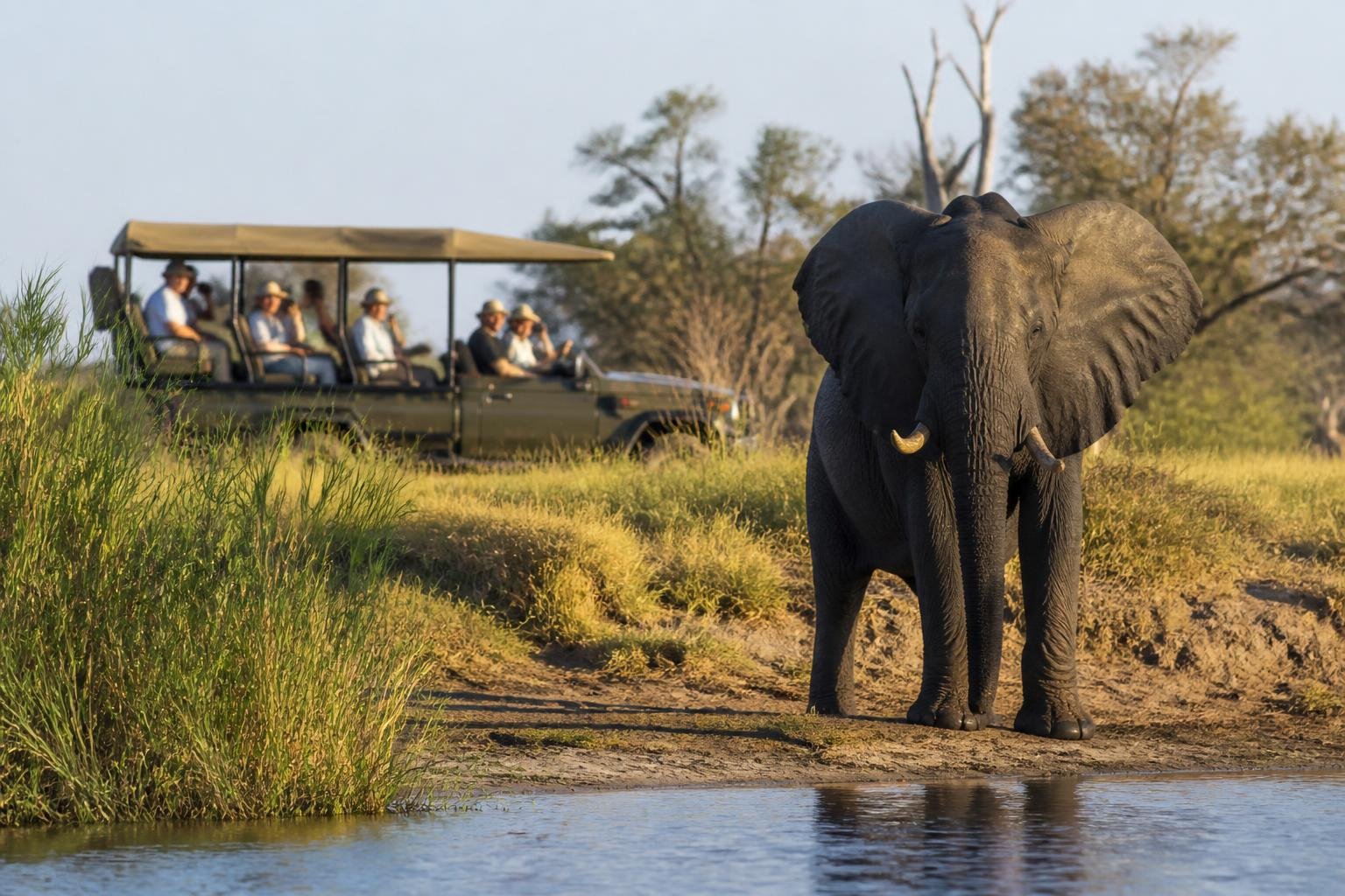Vue de safari au Botswana entre le delta de l’Okavango et la faune de Chobe
