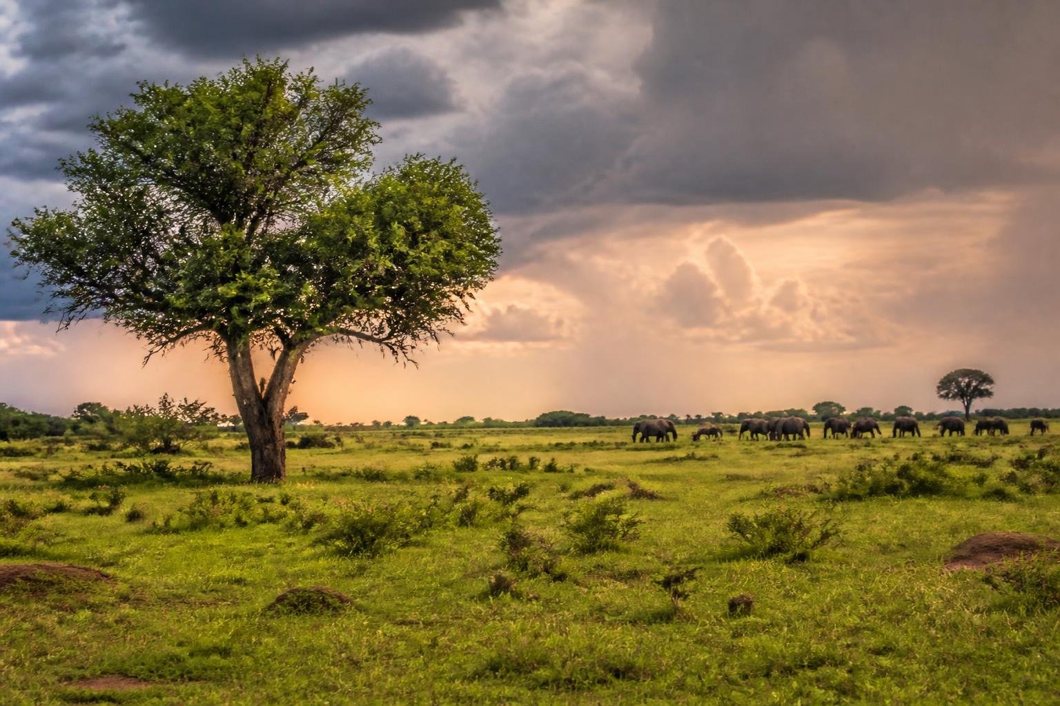 Partir au Botswana en novembre