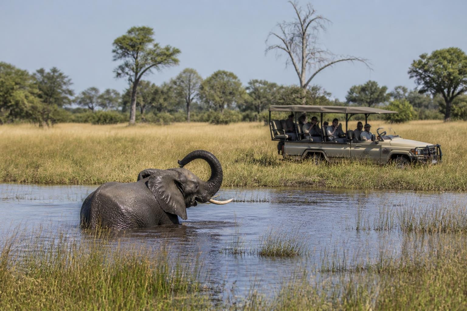 Safari dans l’Okavango : mokoro, 4x4 ou survol ? — illustration du guide voyage Botswana