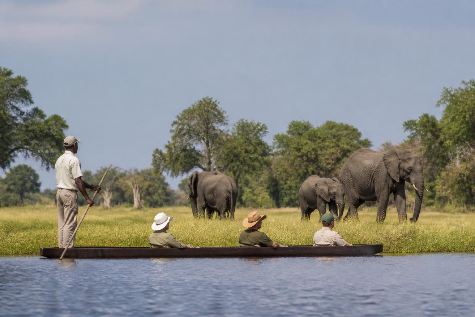 Safari à cheval au Botswana dans une grande plaine sauvage, cavaliers observant la faune au loin