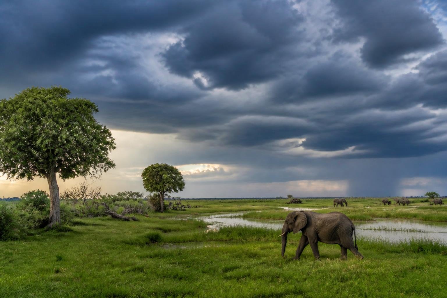 Partir au Botswana en décembre