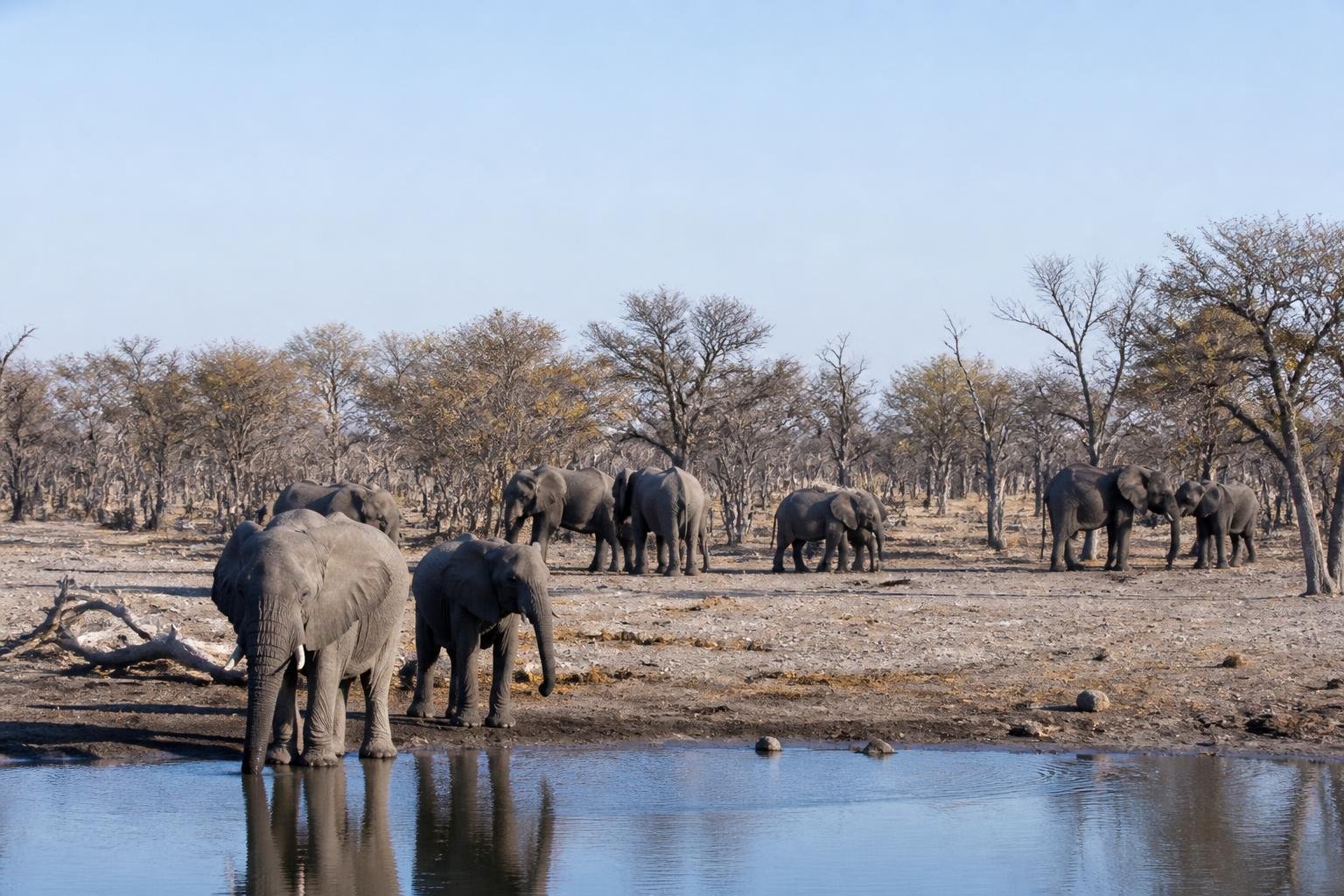 Partir au Botswana en juin