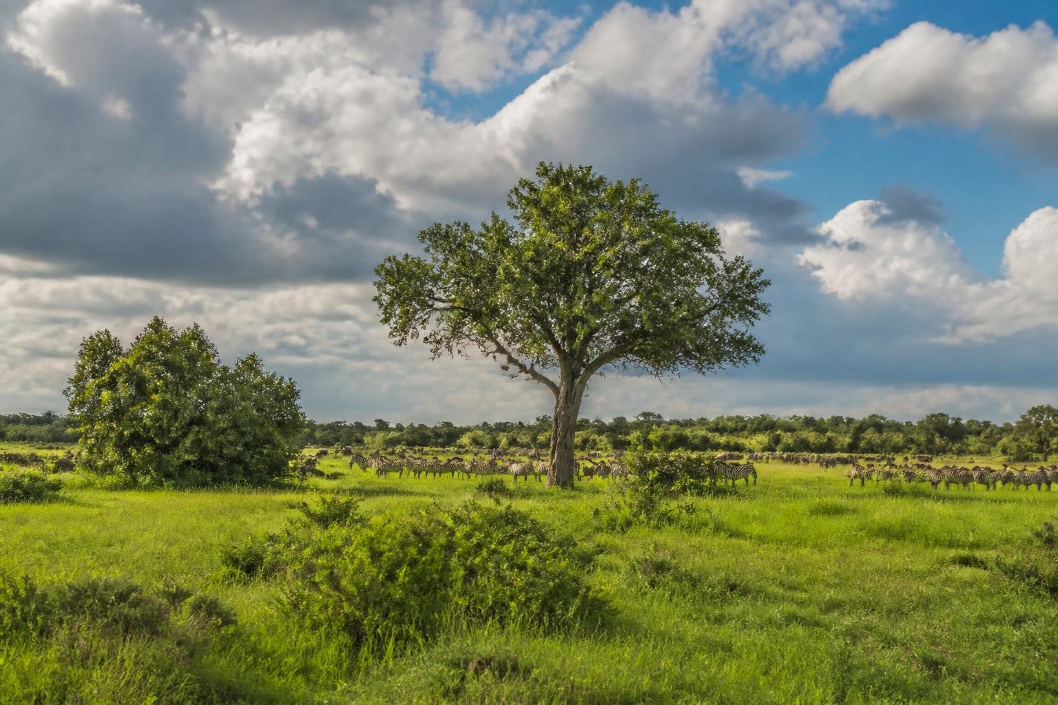 Partir au Botswana en février