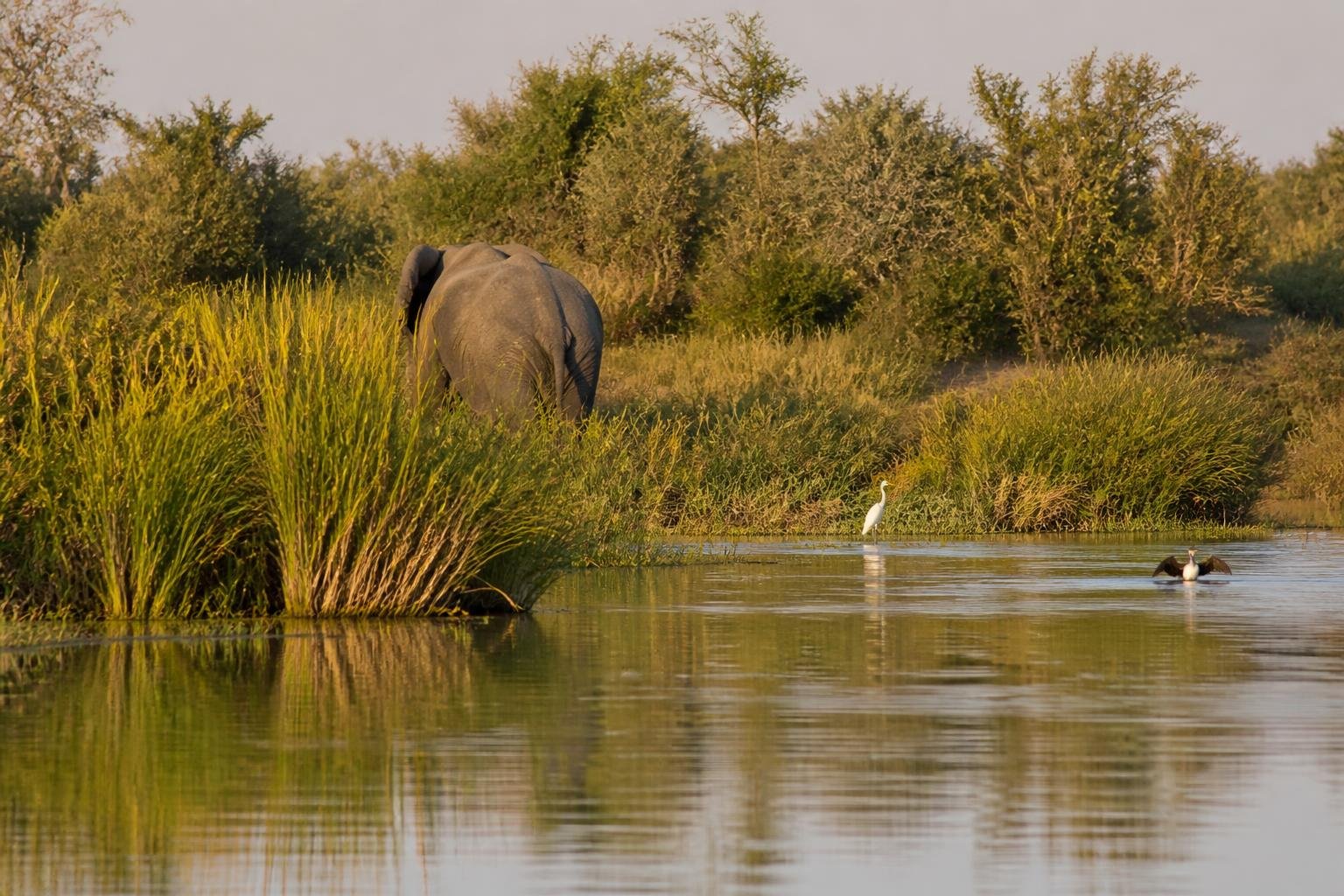 Panhandle de l’Okavango (Shakawe) — parc ou destination au Botswana