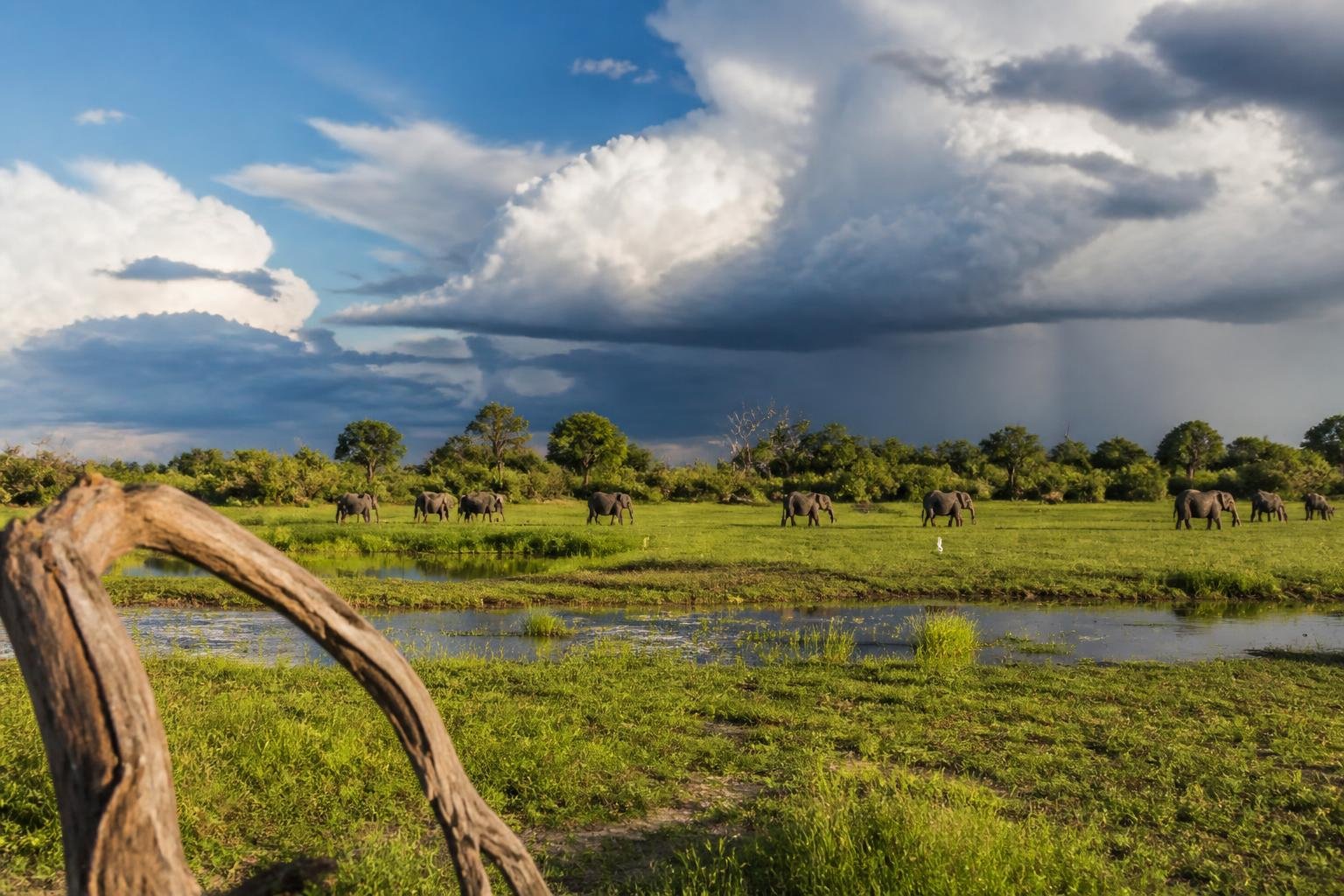 Partir au Botswana en janvier