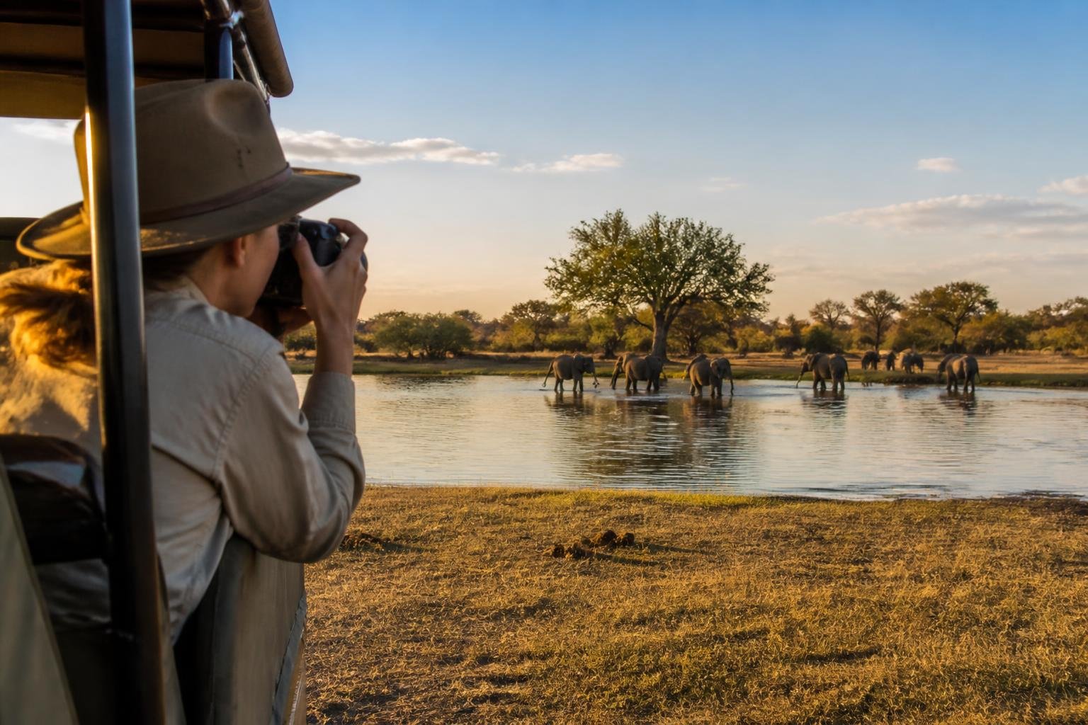 Vue réaliste des transferts depuis Maun vers les camps du delta de l’Okavango, entre avion léger et piste sablonneuse